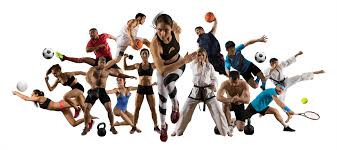 Sports & Fitness
